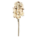 Teastain Cotton Bush  (Pack of 4)