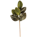 Elegant Magnolia Leaves Pick 20" (Pack of 4)