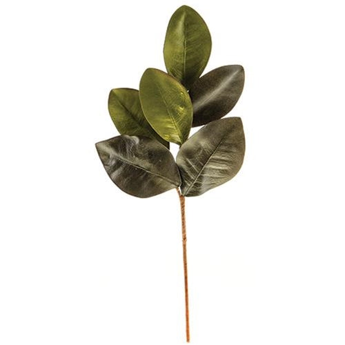 Elegant Magnolia Leaves Pick 20" (Pack of 4)