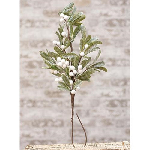 Frosted Mistletoe Spray 22" (Pack of 4)