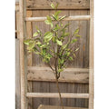 Sage Leaves & Twigs Spray 25"  (Pack of 4)