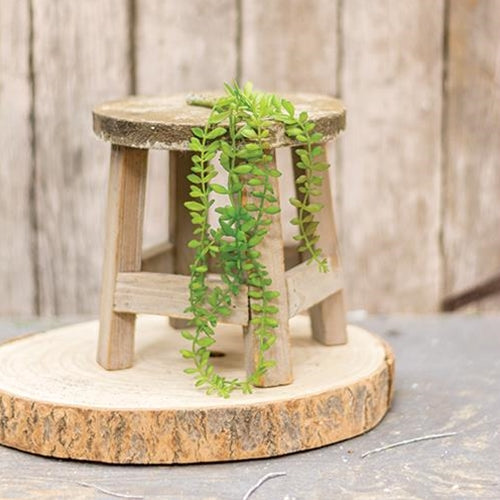 Hanging Angel Fern 11" (Pack of 4)