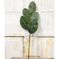 Williamsburg Magnolia Leaves Pick 20" (Pack of 4)