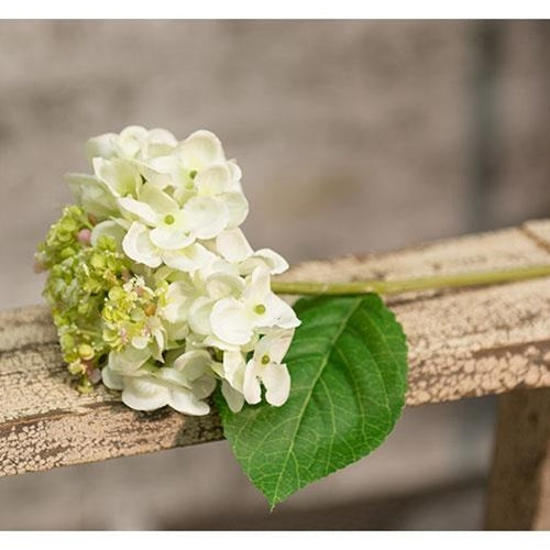 Hydrangea Pick 9" Cream (Pack of 4)