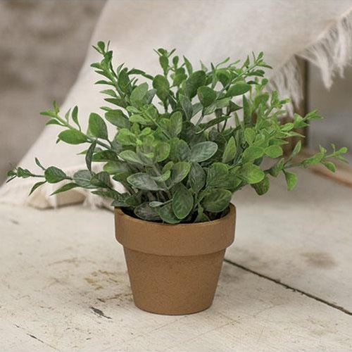 Gatehouse Herb Pot #2 6" (Pack of 4)