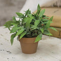 Gatehouse Herb Pot #3 6" (Pack of 4)