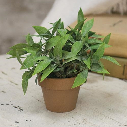 Gatehouse Herb Pot #3 6" (Pack of 4)