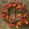 Bittersweet Ring 2"/6" (Pack of 4)