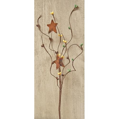 Coffee Bean Pip  & Star Pick 12" (Pack of 4)
