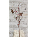 Country Mix Pip & Star Pick 12"  (Pack of 4)
