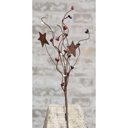 Country Mix Pip & Star Pick 12"  (Pack of 4)