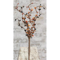 Pip Berry Pick Primitive Mix 12"  (Pack of 4)
