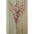 Pip Berry Pick Red and Burgundy 12"  (Pack of 4)