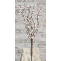 Pip Berry Pick Snow White 12" (Pack of 4)