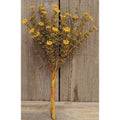 Mustard Fall Astilbe Bush 10.5"  (Pack of 4)