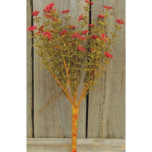 Red Fall Astilbe Bush 10.5" (Pack of 4)