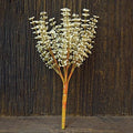 Cream Astible Bush - 10.5" (Pack of 4)