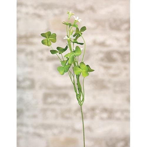 Clover Pick 14" (Pack of 4)
