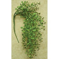 Light Green Hanging Peppergrass Bush 19" (Pack of 4)