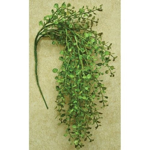 Light Green Hanging Peppergrass Bush 19" (Pack of 4)