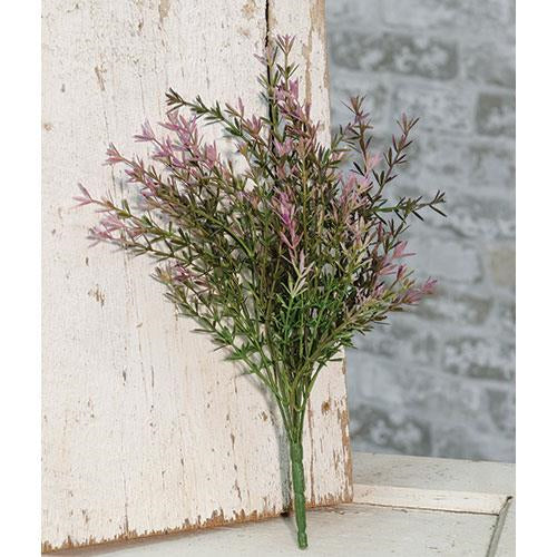 Lavender Asparagus Bush 13" (Pack of 4)