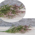 Lavender Asparagus Bush 23" (Pack of 2)