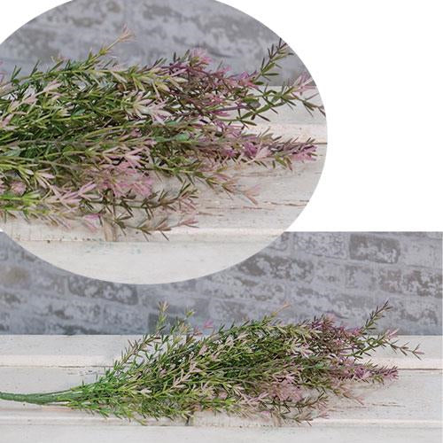 Lavender Asparagus Bush 23" (Pack of 2)