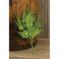 Wood Fern Bush 14"  (Pack of 4)