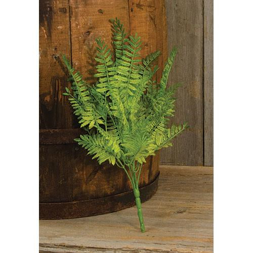 Wood Fern Bush 14"  (Pack of 4)