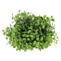 Maidenhair Fern Half Sphere 6-1/2" (Pack of 4)