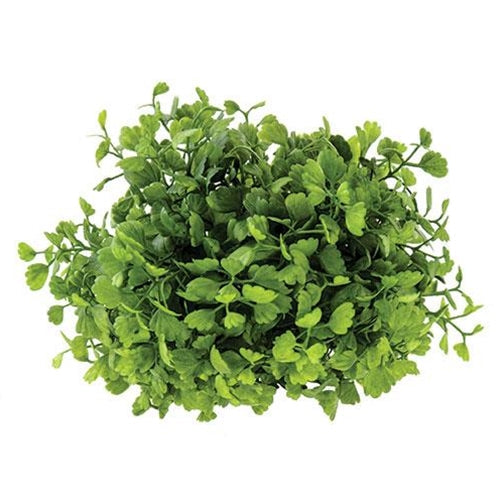 Maidenhair Fern Half Sphere 6-1/2" (Pack of 4)