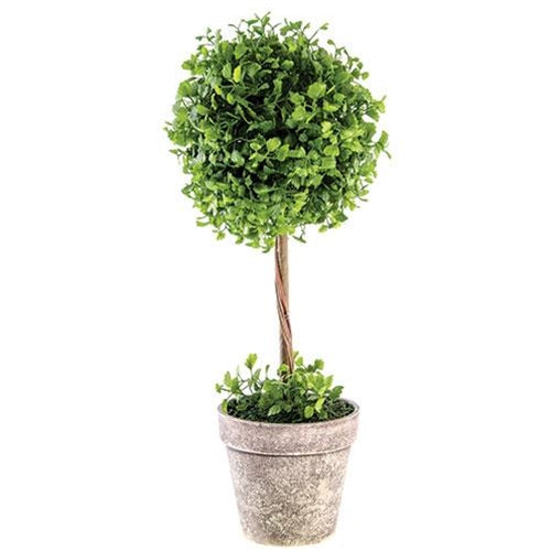 Maiden Hair Fern Topiary 18"