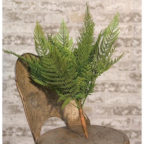 Deer Fern Bush 16"  (Pack of 4)