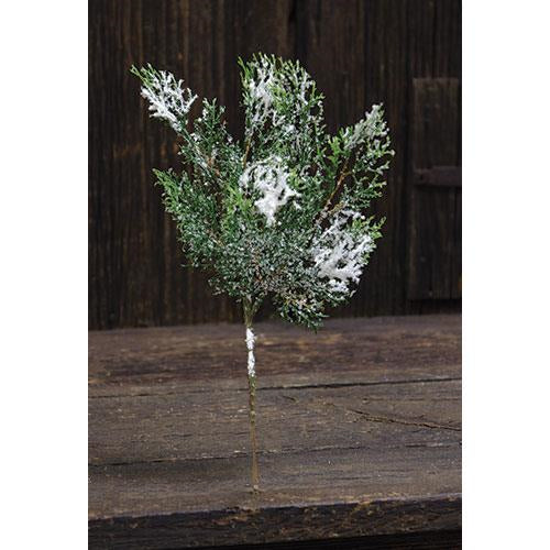 Snowy Cedar Spray 13"  (Pack of 4)