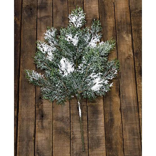Snowy Cedar Spray 18" (Pack of 4)