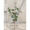 Crisp Air Eucalyptus Pick 14" (Pack of 4)