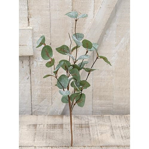 Crisp Air Eucalyptus Pick 14" (Pack of 4)
