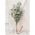 Crisp Air Eucalyptus Bundle 35" (Pack of 2)