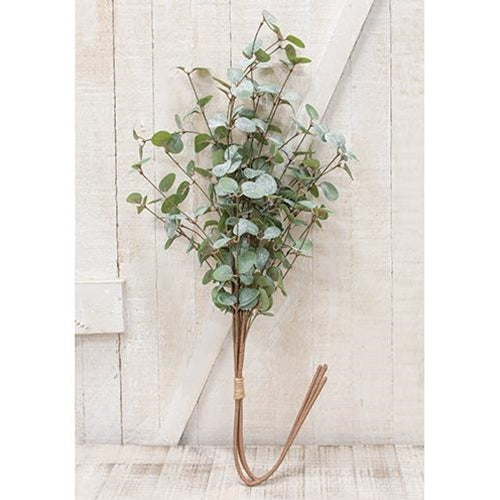 Crisp Air Eucalyptus Bundle 35" (Pack of 2)