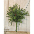 Sargent Spruce Bush w/Cones 26"