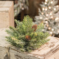 Frosted Spruce Half Sphere 8" (Pack of 2)