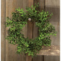 New England Boxwood Ring 4"/7" (Pack of 4)