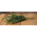New England Boxwood Bush 19"  (Pack of 4)