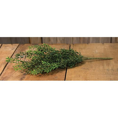 New England Boxwood Bush 19"  (Pack of 4)
