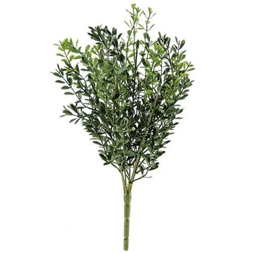 New England Boxwood Bush 11-1/2" (Pack of 4)