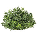 New England Boxwood Half Sphere 6" (Pack of 4)