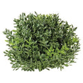 New England Boxwood Half Sphere 7" (Pack of 2)