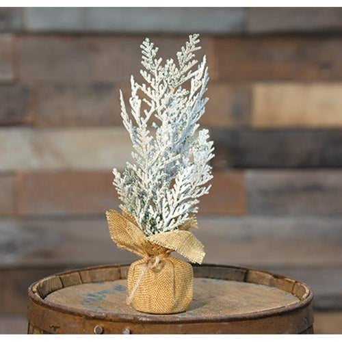 Frosty Cedar Tree 10"  (Pack of 4)