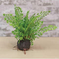 Rooted Fern 8" (Pack of 4)