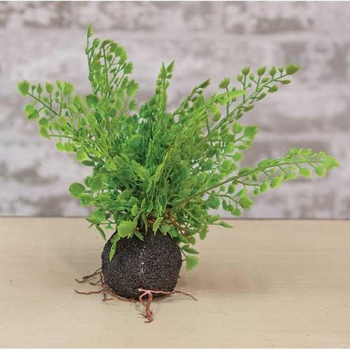 Rooted Fern 8" (Pack of 4)